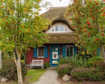 Ferienwohnung Villa Löwe II
